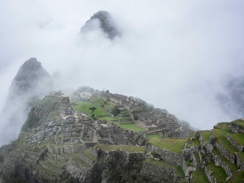 sudoku mental exercise screenshot 3