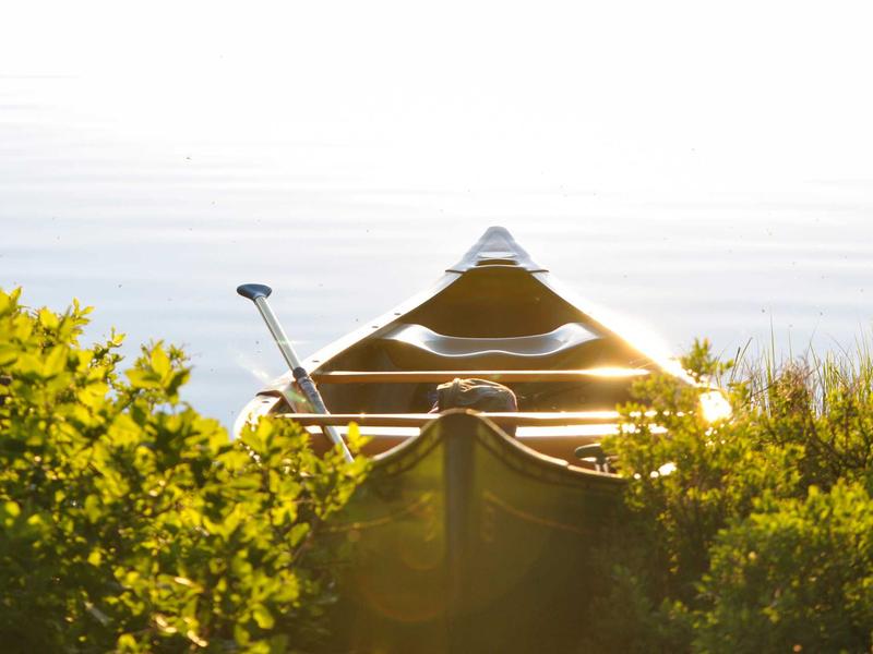 android screenshot 5